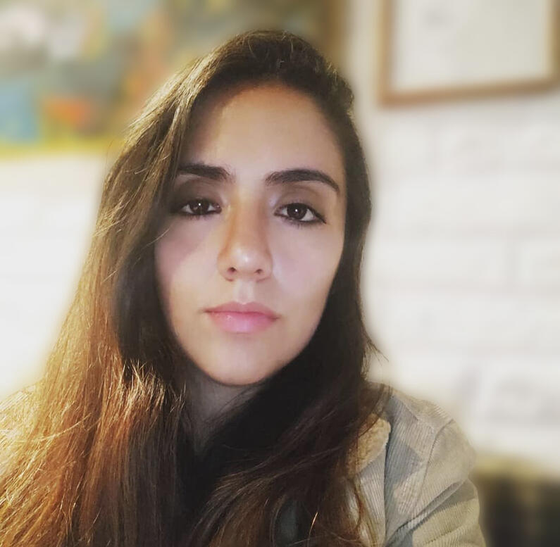Perfil
